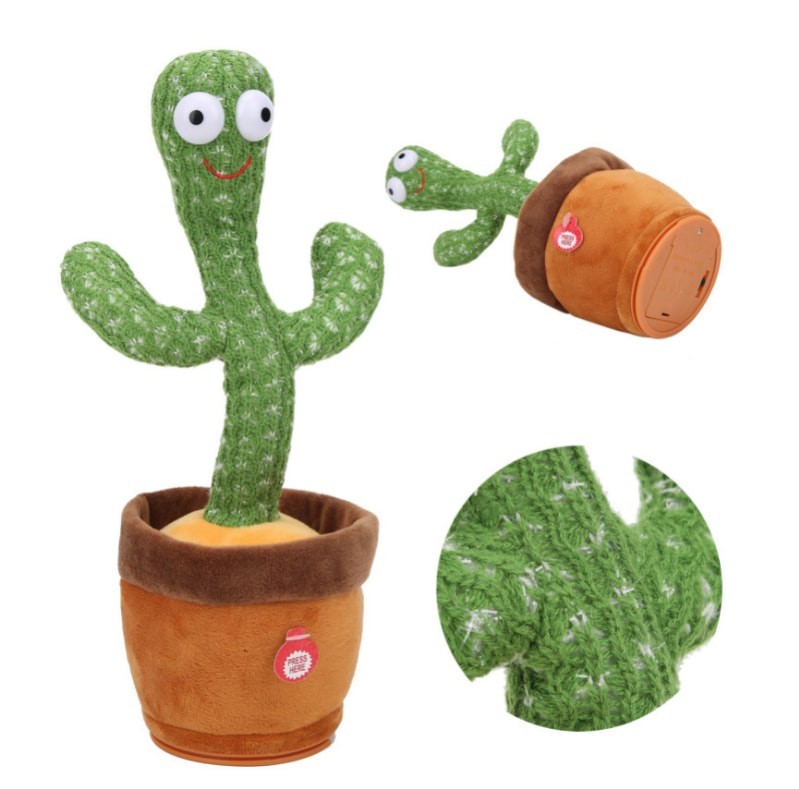 

Танцующий кактус Dancing Cactus