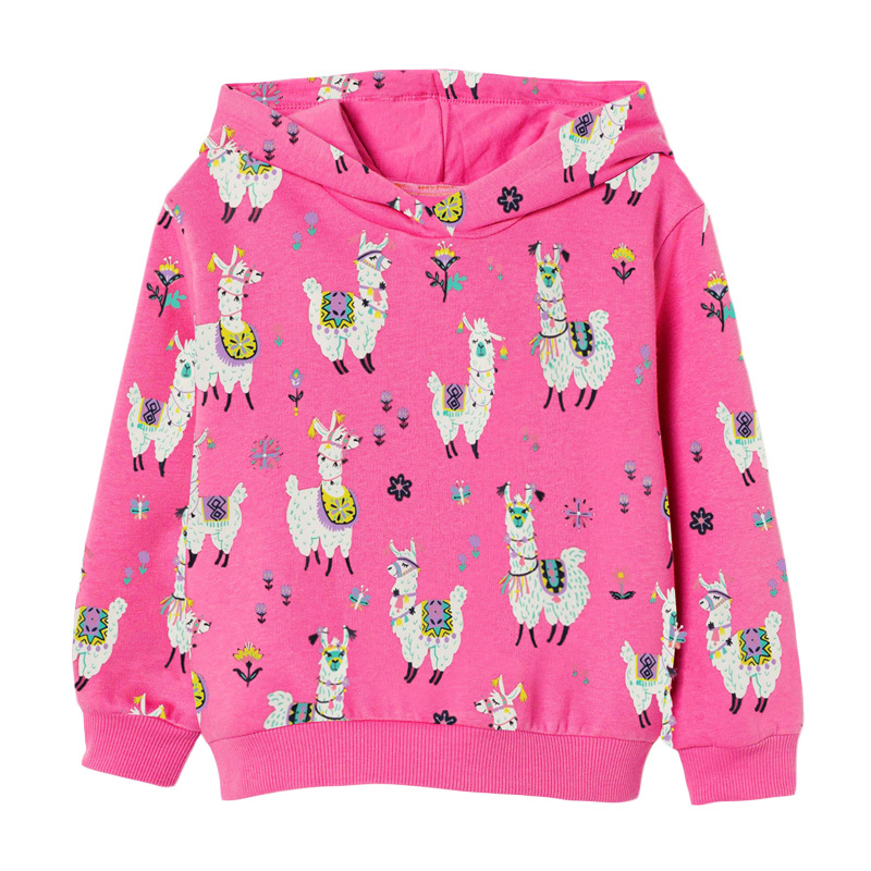 

Худи для девочки с изображением ламы розовое Valley of llamas Berni Kids (130) Розовый (59672)