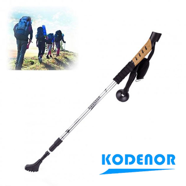 

Палки для скандинавской ходьбы "Kodenor" телескопические (пара) Серебристый