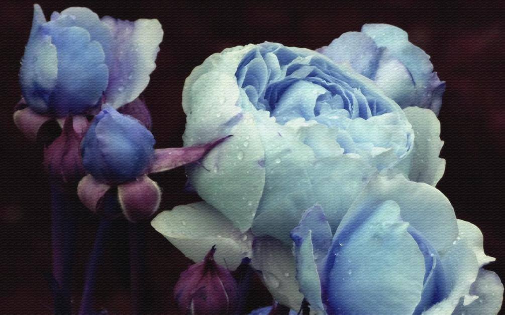 

Фотообои Арт-Обои Голубые цветы №36948 Аква