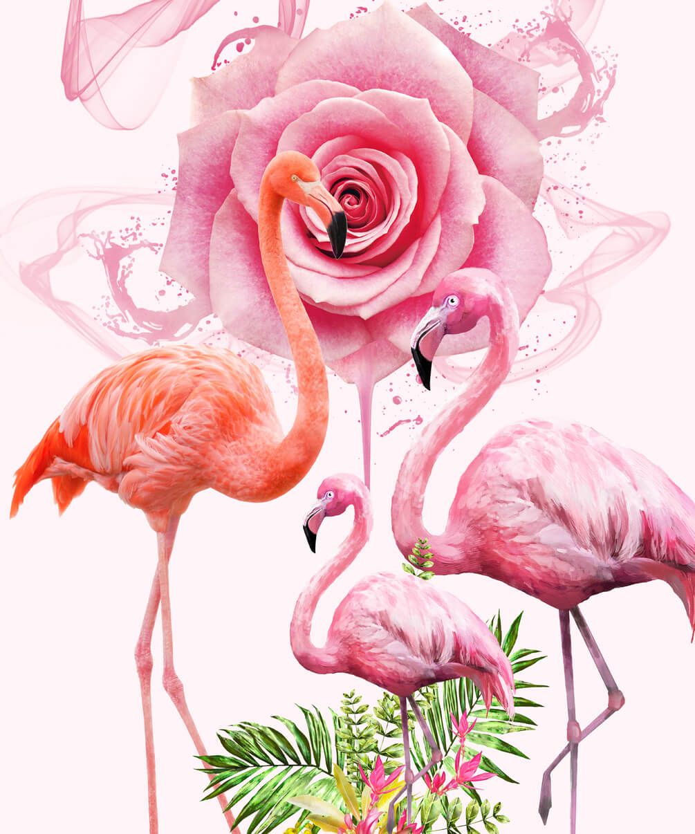 Фреска Фламинго