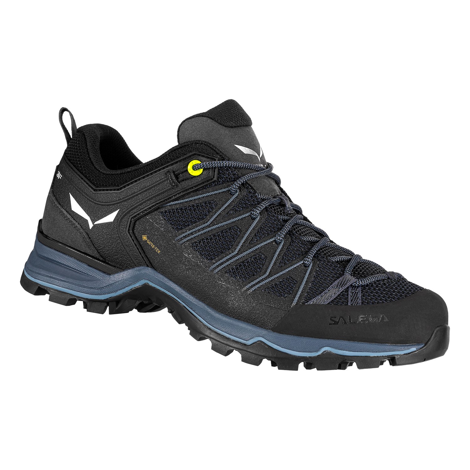 

Кросівки Salewa MS MTN Trainer Lite GTX чоловічі 44 чорні