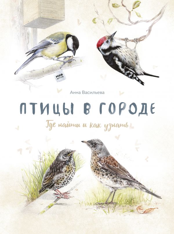 

Птицы в городе. Где найти и как узнать