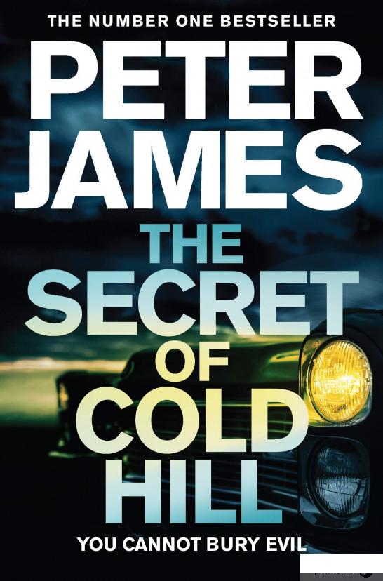 

Книга The Secret of Cold Hill (1196148)