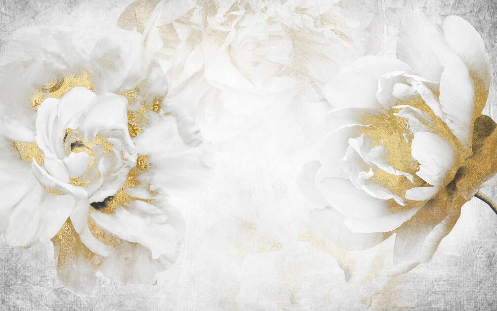 

Фотообои Арт-Обои Белые пионы с золотом №47092 Нить