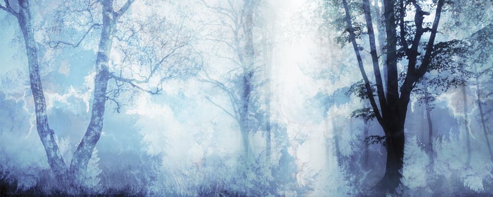 

Фотообои Арт-Обои Синий туман №37102 Нить