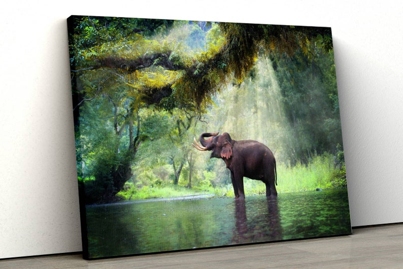 

Картина на холсте Дикий слон51x34 см (102)
