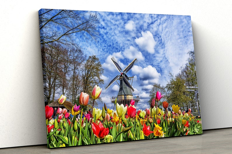 

Картина на холсте Тюльпаны и ветряная мельница51x34 см (339)
