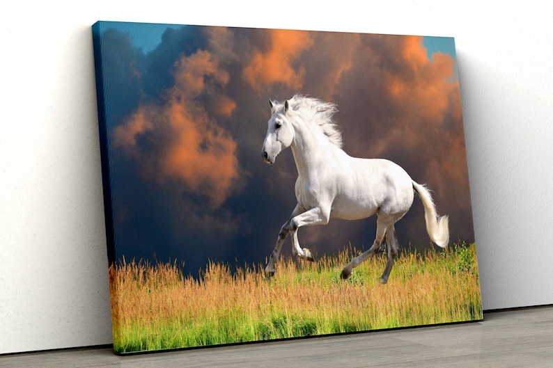 

Картина на холсте Белый конь51x34 см (95)