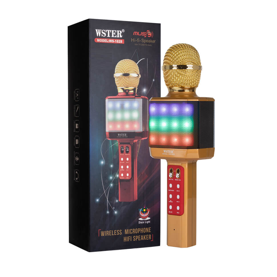 

Микрофон караоке для детей с цветомузыкой WSTER WS-1828 Gold