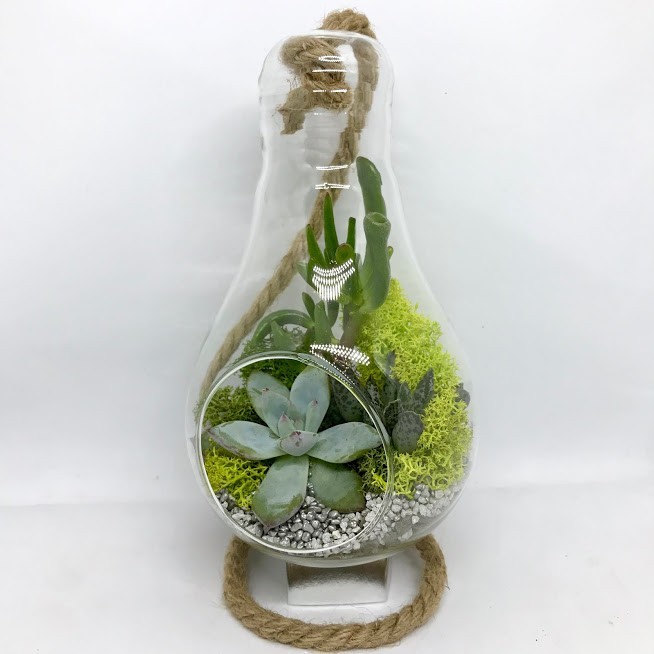 

Флорариум Garden mix Лампочка с плоским дном