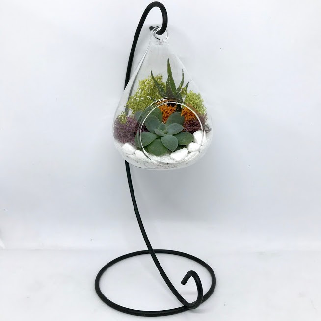 

Флорариум подвесной Garden mix Капля с плоским дном