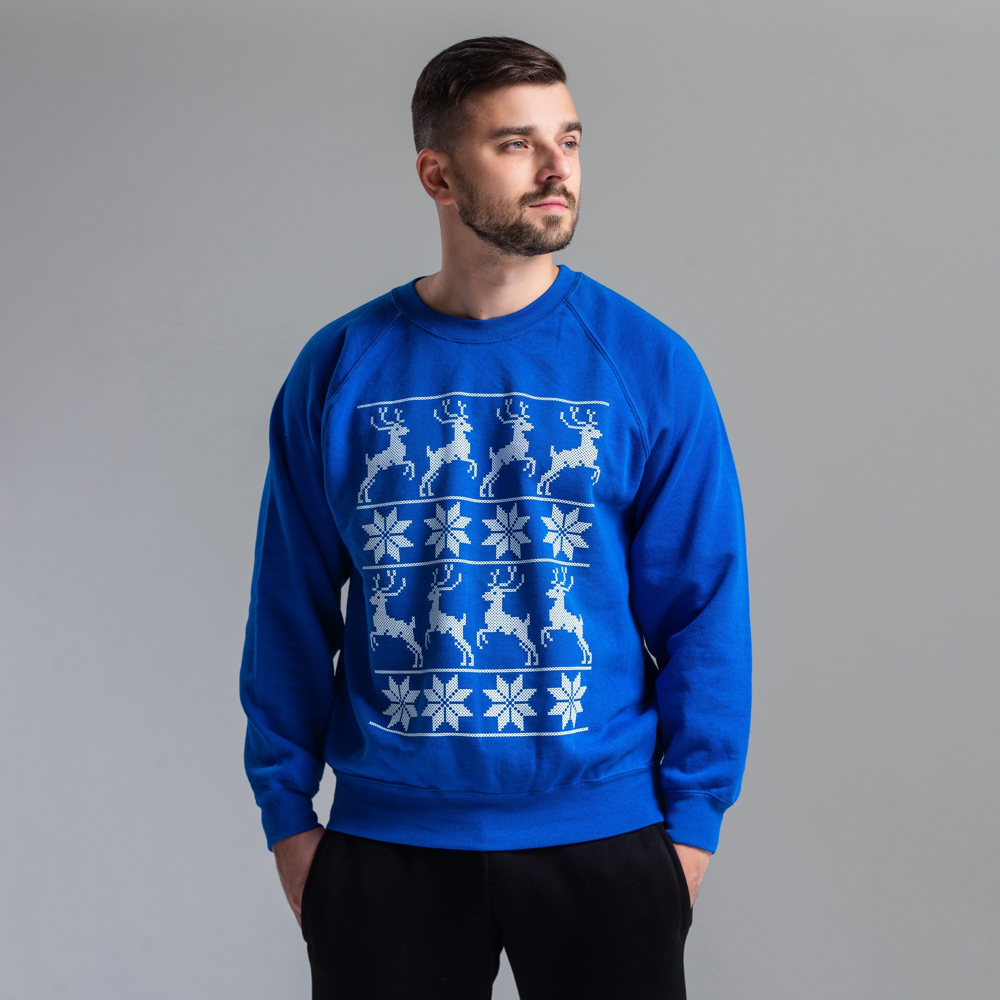 

Свитшот мужской теплый на флисе WB с новогодним принтом Олени размер  синий, Свитшот мужской теплый на флисе WB с новогодним принтом Олени размер M синий