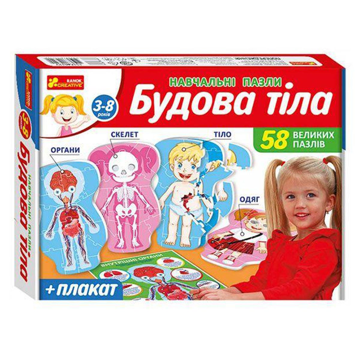 

Учебные пазлы Строение тела MiC (13120142Р) (165377)
