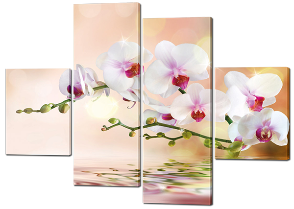 

Модульная картина Interno Холст Орхидея на воде 146x108см