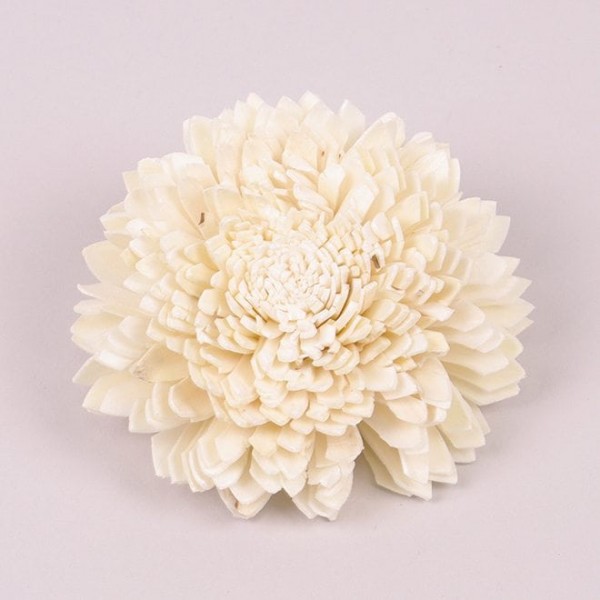 

Сухоцвет цветочек Sola Zinnia 8 см. 25 шт. Flora 69863