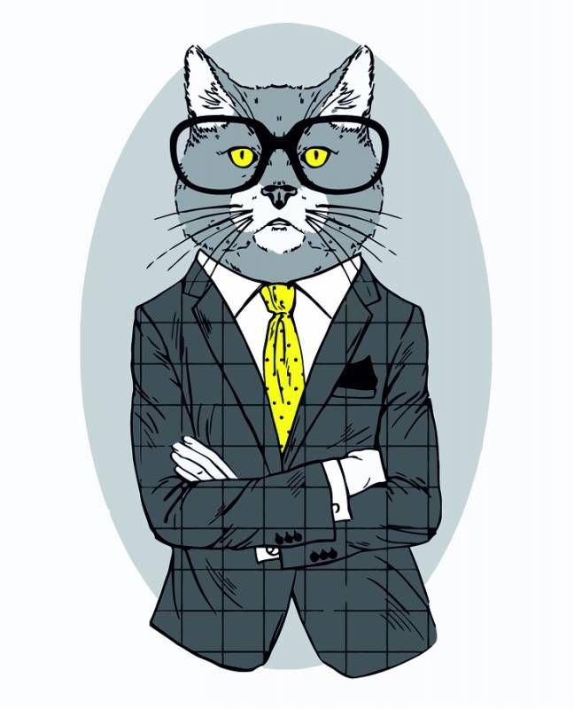 

Картина по номерам Fashion Cat ☆☆ MiC (N00013266) (132109)