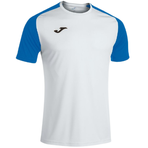 

Футболка Joma ACADEMY IV бело-синяя 4XS-3XS 101968.207