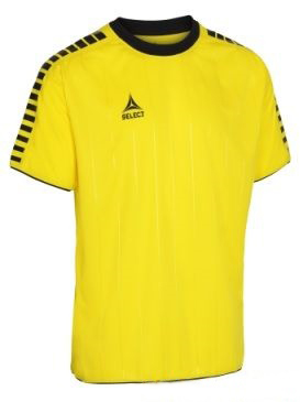 

Футболка Select Argentina player shirt желто-черная M 622500-012