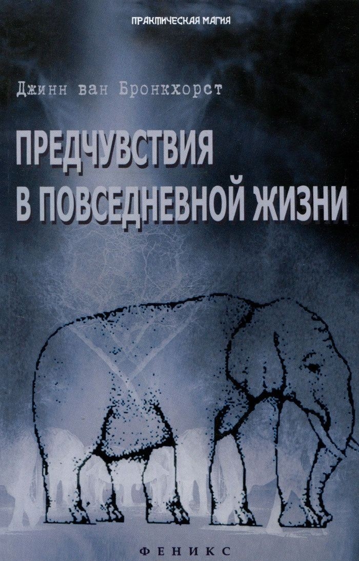 

Предчувствия в повседневной жизни - Джинн ван Бронкхорст