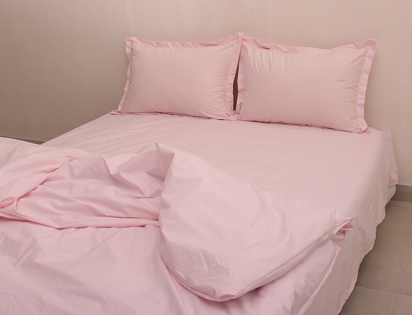 

Комплект постельного белья Ранфорс Люкс на молнии БЕРТА R-T9119 евро 200*220, наволочки 70*70