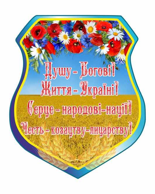 

Моя Украина ColorIT СУ110053