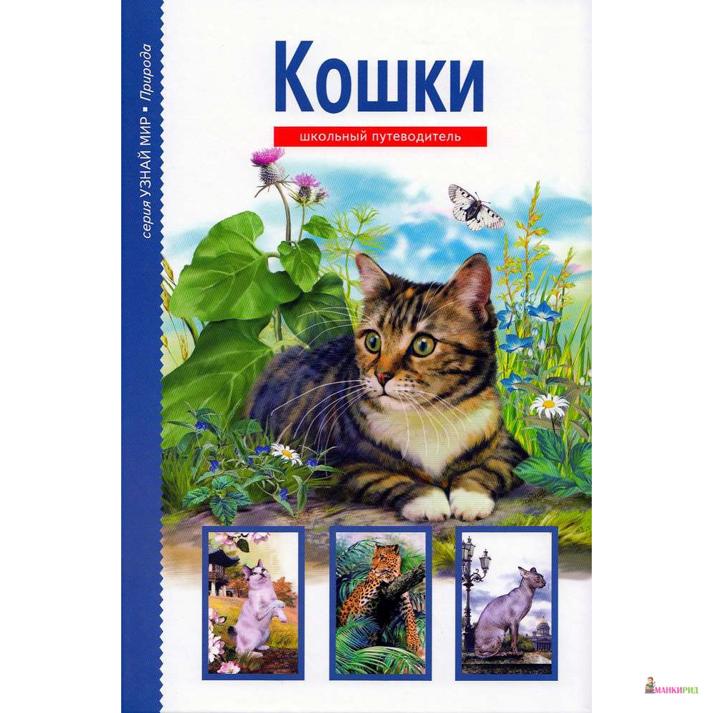 

Кошки - Сергей Юрьевич Афонькин - Тимошка - 383815