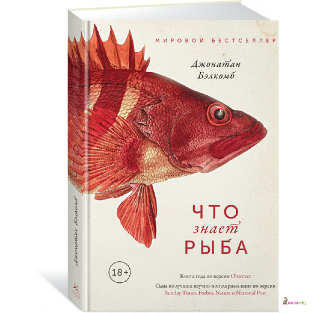 

Что знает рыба. Внутренний мир наших подводных собратьев - Джонатан Бэлкомб - КоЛибри - 804609