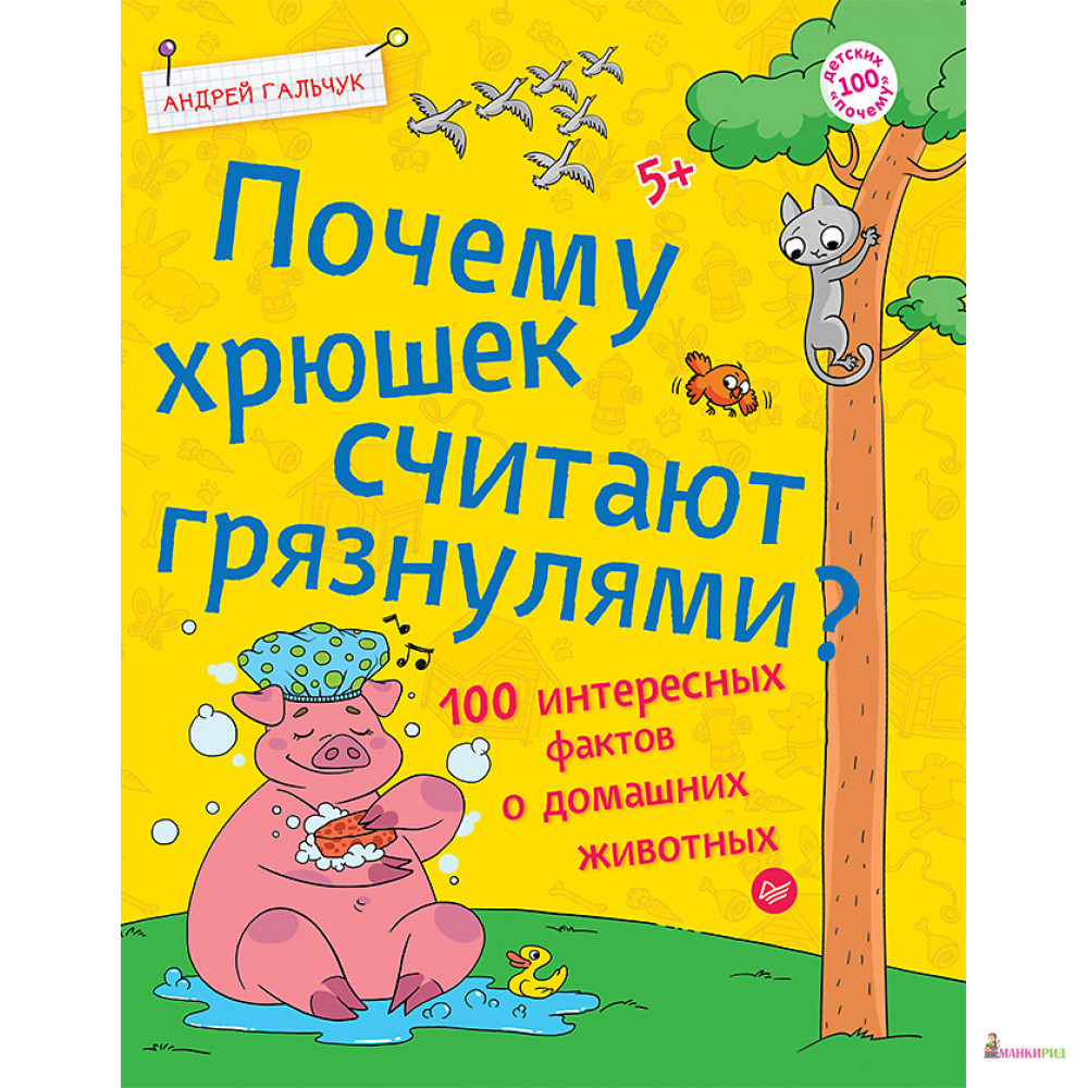 

Почему хрюшек считают грязнулями100 интересных фактов о домашних животных - Питер - 663743