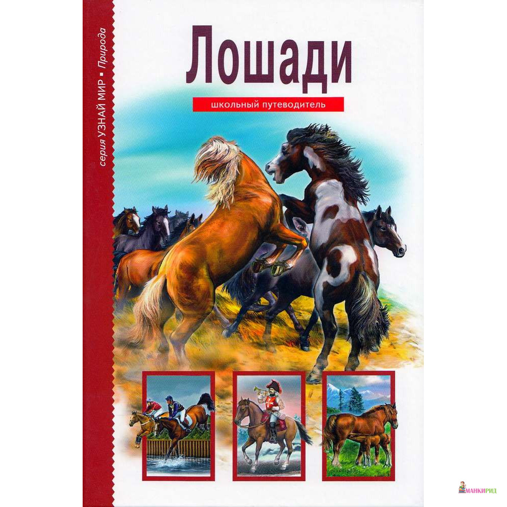 

Лошади. - Сергей Юрьевич Афонькин - Тимошка - 402109