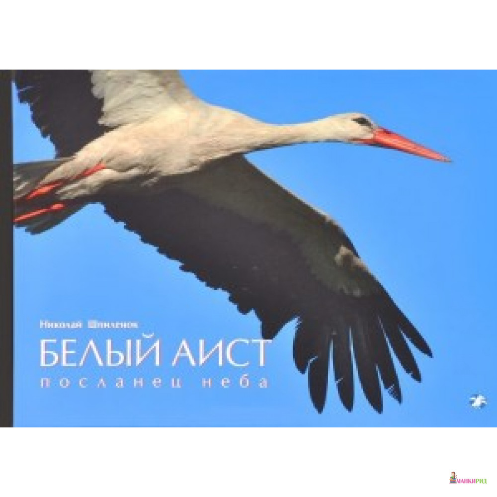 

БЕЛЫЙ АИСТ ПОСЛАНЕЦ НЕБА ЧЕРНЫЙ АИСТ ЛЕСНОЙ ОТШЕЛЬНИК - Белая ворона (Albus corvus) - 400242