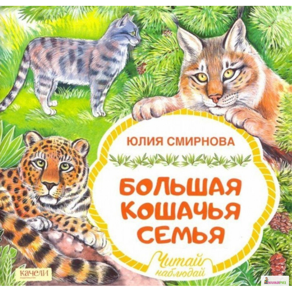 

Большая кошачья семья - Юлия Андреевна Смирнова - Качели - 793038