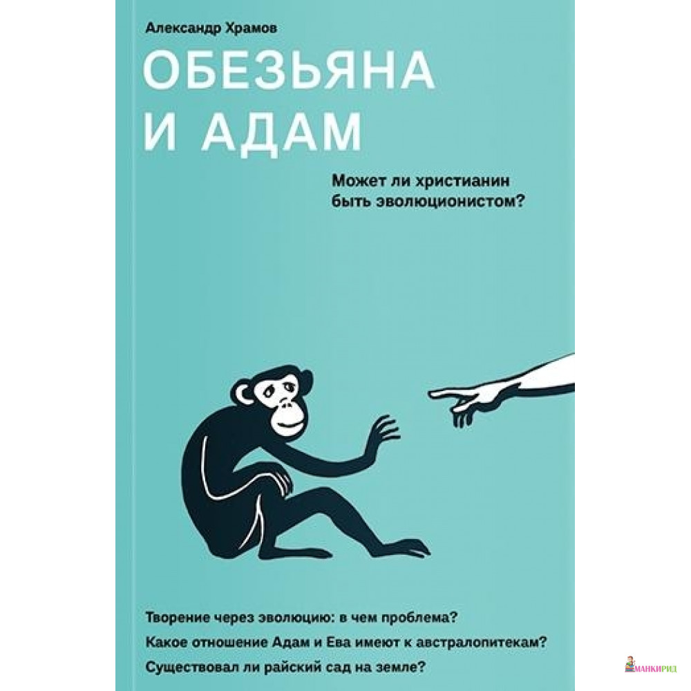 

Обезьяна и Адам.Может ли христианин быть эволюционистом - 753448