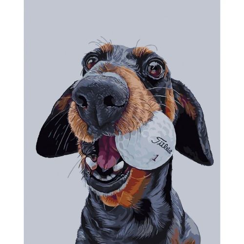 

Картина по номерам "Бейсболист"