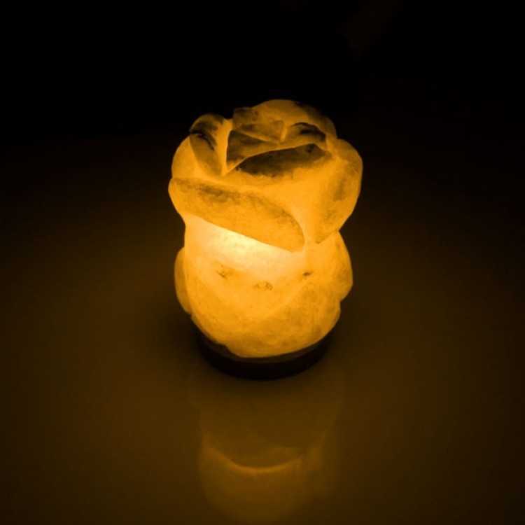 

Соляная лампа BactoSfera SALTKEY ROSE