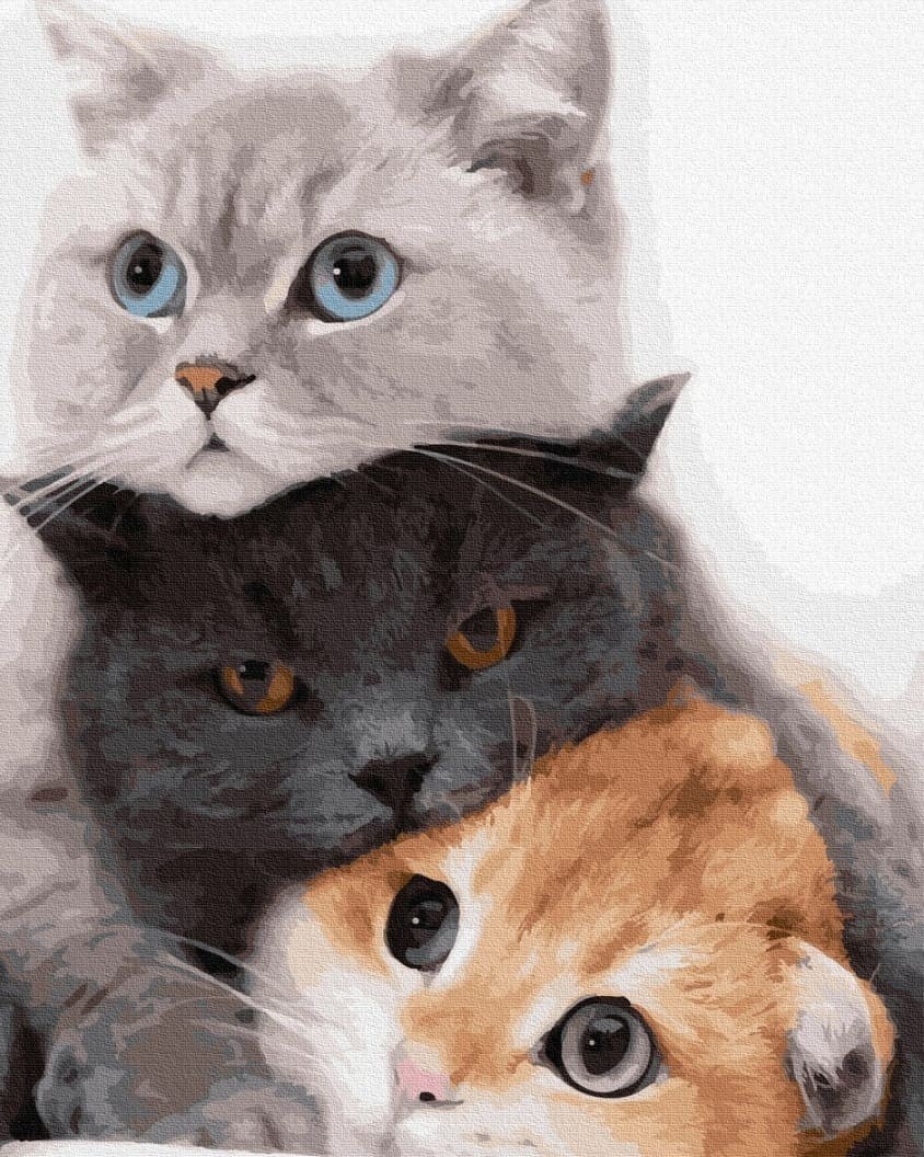 

Картина по номерам 50*40 Котики муркотики Brushme