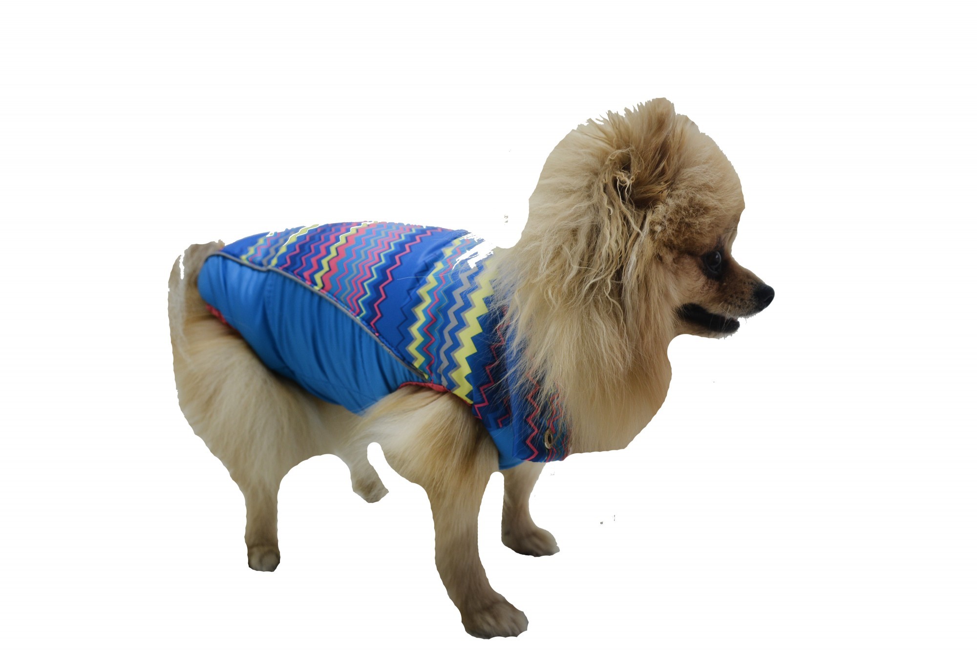 

Жилет для собак Bingo Орнамент №1-29х46 см Голубой (о1097)