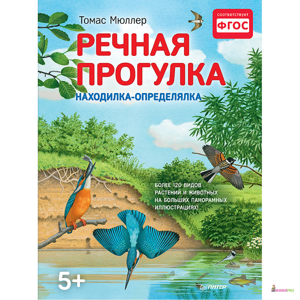 

Речная прогулка - Питер - 663801