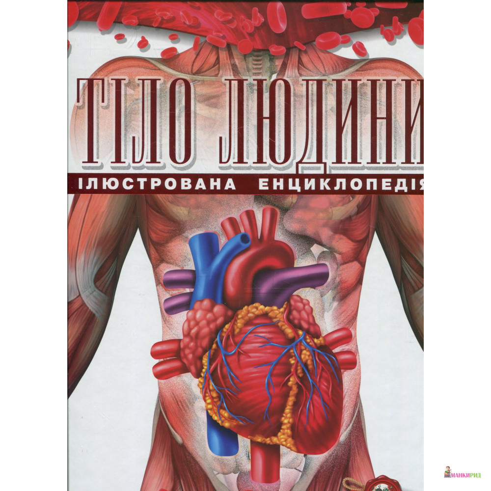 

Тіло людини - Талант - 556506