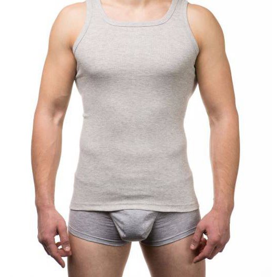

Майка мужская из хлопка, Shirt, серый  (11434-61, Майка мужская из хлопка, Shirt, серый M (11434-61)