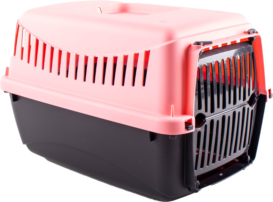 

Контейнер-переноска для собак и кошек MP Bergamo Gipsy XS 39x26x18 см Coral