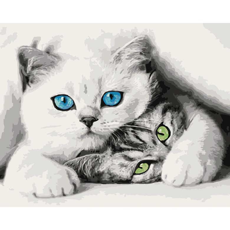 

Картина по номерам Идейка Котята КН4098 40x50см