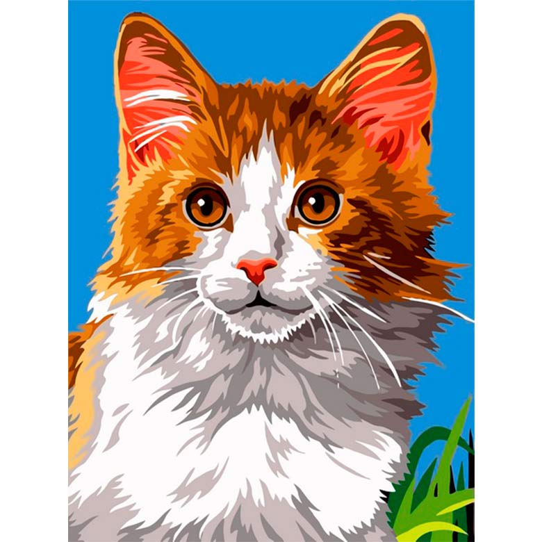 

Картина по номерам Babylon Домашний кот VK238 30x40см
