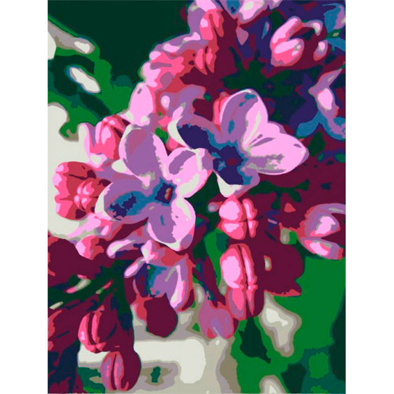 

Картина по номерам Rosa Сирень N00013176 35x45см Premium