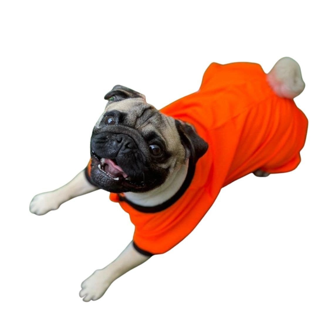 

Сетка Orange Летняя Для Собак Оранжевая L