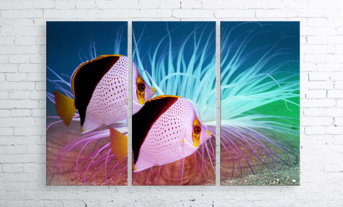 

Модульная картина на холсте 3 в 1 Тропические рыбы 100х150 см