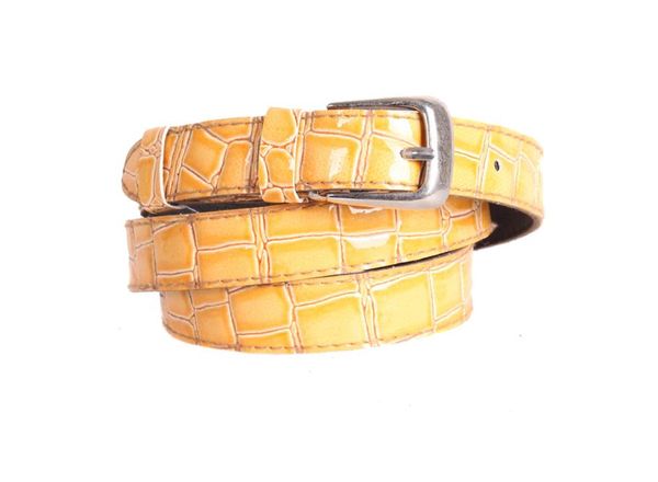 

Женский узкий ремень кожзам D-Belts S0500 оранжевый (90-105 см х 1 см)