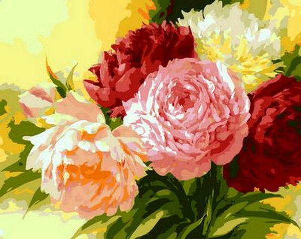

Шикарные пионы. Картина раскраска. Mariposa 40x50
