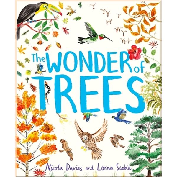 

Hodder Children's The Wonder of Trees. Nicola Davies, Lorna Scobie. ISBN:9781444938197