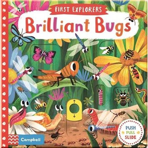 

Campbell Books First Explorers: Brilliant Bugs. Chorkung. ISBN:9781509855131